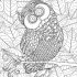 Owl Adult Coloring Pages