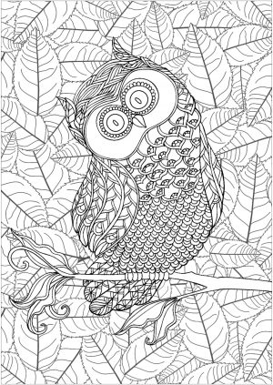 Owl Adult Coloring Pages 3iu7
