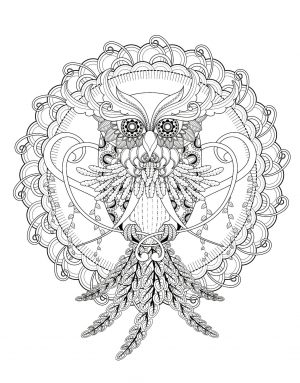 Owl Adult Coloring Pages 4md3