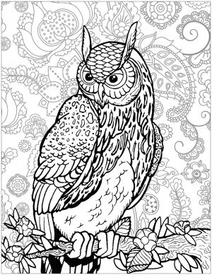 Owl Adult Coloring Pages 5ey0