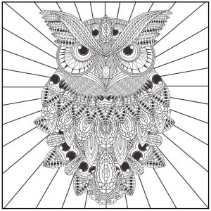Owl Adult Coloring Pages Free Printable by65
