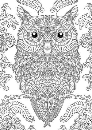 Owl Adult Coloring Pages Free Printable dr04