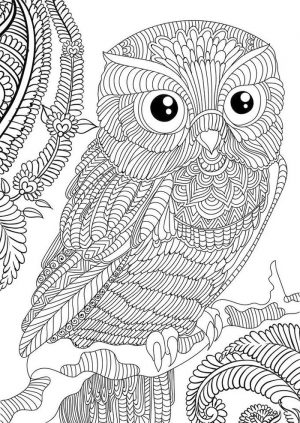 Owl Adult Coloring Pages Free Printable or94