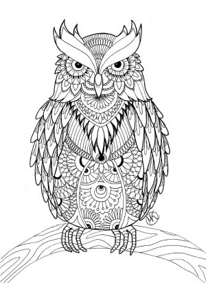 Owl Coloring Pages for Grown Ups Free to Print hw75