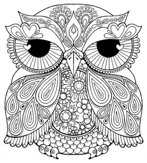 Owl Coloring Pages for Grown Ups Free to Print so2y