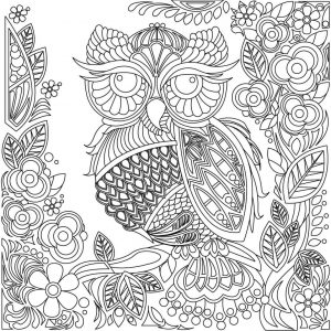 Owl Coloring Pages for Grown Ups Free to Print ws01