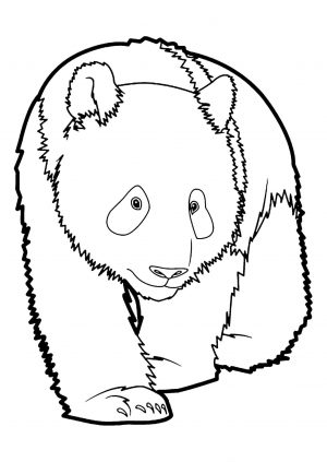 Panda Coloring Pages Free to Print