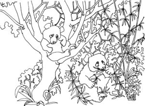 Panda Coloring Pages for Grown Ups