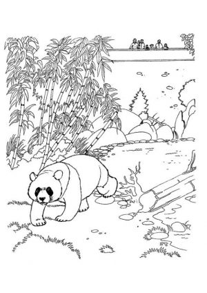 Panda in a Zoo Coloring Pages