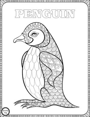 Penguin Coloring Pages for Adults to Print Out – 67291