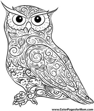 Printable Owl Coloring Pages for Grown Ups dc40