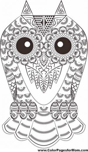 Printable Owl Coloring Pages for Grown Ups eo83