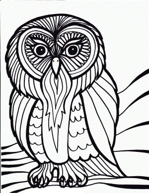 Printable Owl Coloring Pages for Grown Ups go72