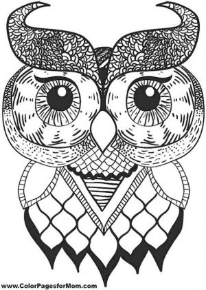 Printable Owl Coloring Pages for Grown Ups lo68
