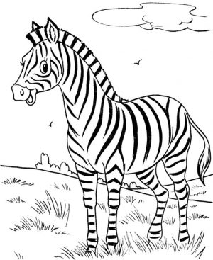 Printable Zebra Coloring Pages h4i1