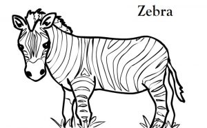 Printable Zebra Coloring Pages wtu4