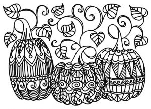 Pumpkin Coloring Pages for Adults Printable – 6cvd1