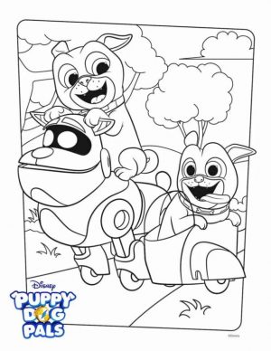 Puppy Dog Pals Coloring Pages lop1