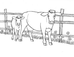 Realistic Cow Animal Coloring Pages Cow and Her Calf In a Farm