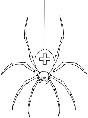 Spider Coloring Pages Printable cr67