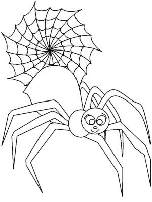 Spider Coloring Pages Printable fz01