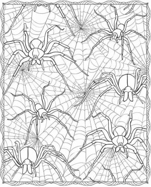 Spider Coloring Pages for Adults 13rt