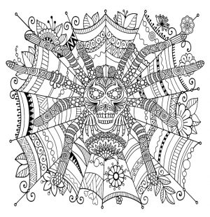Spider Coloring Pages for Adults 26yq