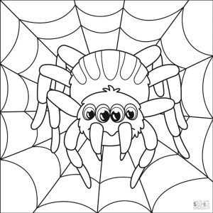 Spider Coloring Pages for Toddlers fr24