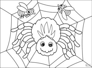 Spider Coloring Pages for Toddlers jk15