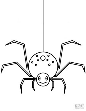 Spider Coloring Pages for Toddlers wr62