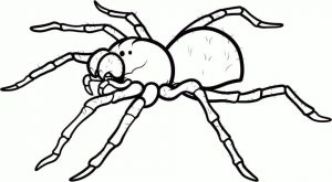 Spider Coloring Pages to Print Spider Printable