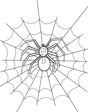 Spider Living in Her Web Coloring Page to Print for Free glk8