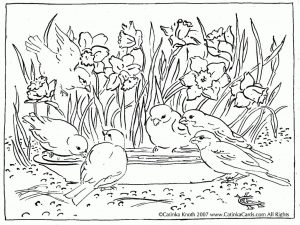 Spring Adult Coloring Pages A flock of Little Birds in Spring