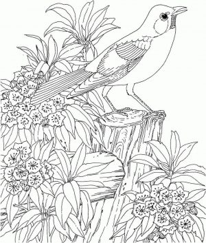 Spring Adult Coloring Pages Bird and Blooming Flowers in Spring