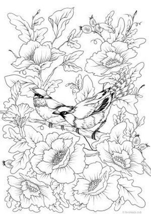 Spring Coloring Pages Free for Grown Ups A Couple of Birds and Beautiful Flowers