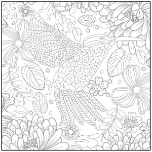 Spring Coloring Pages for Adults Hummingbird and Flowers