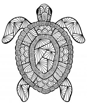 Summer Coloring Pages for Adults Printable – 78401
