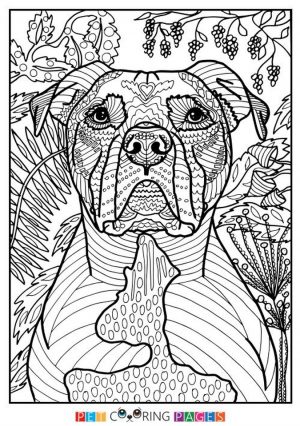 Summer Coloring Pages to Print Out for Adults – 03127