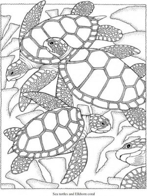 Summer Coloring Pages to Print Out for Adults – 83201