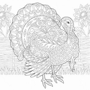 Thanksgiving Coloring Pages for Adult Turkey Zentangle Art