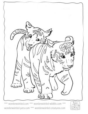 Tiger Coloring Pages to Print for Free – 38901