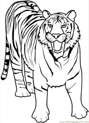 Tiger Coloring Pages to Print for Free – 90316