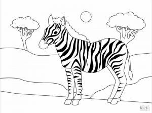 Zebra Coloring Pages adl7