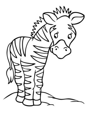 Zebra Coloring Pages for Toddlers shl2