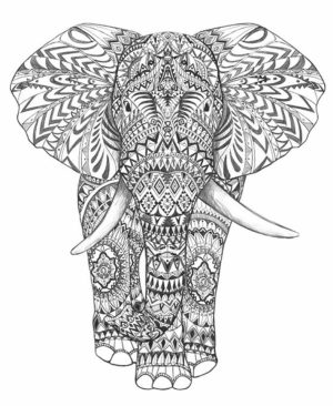 Abstract Elephant Coloring Pages   77421