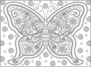 Adult Butterfly Coloring Pages to Print   78467