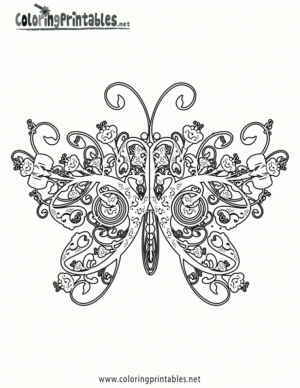 Adult Coloring Pages of Butterfly Printable   21674