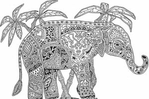 Advanced Elephant Coloring Pages   6342900