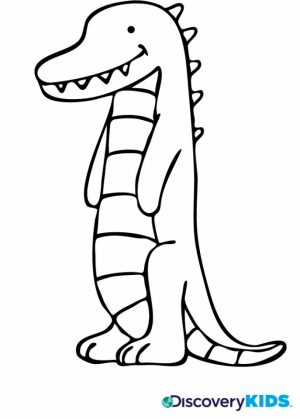 Alligator Coloring Pages for Toddlers   dl53x