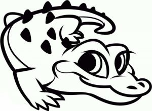 Alligator Coloring Pages Free to Print   j6hdb